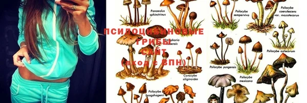 мефедрон мука Горно-Алтайск