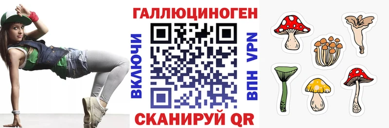 Купить закладки  Магас  Галлюциногенные грибы Psilocybe 